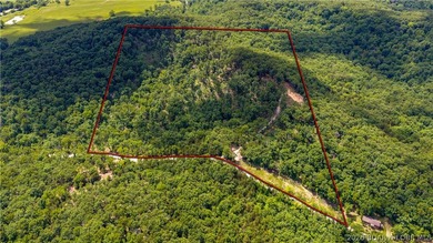 Escape to your own private retreat with this 21.48-acre tract in - photo 3