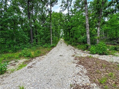 Escape to your own private retreat with this 21.48-acre tract in - photo 4