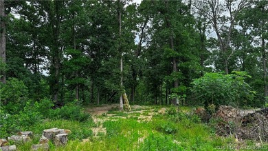 Escape to your own private retreat with this 21.48-acre tract in - photo 9