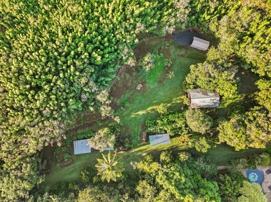 Set across sixteen acres of fully fenced acreage, this Haiku - photo 18