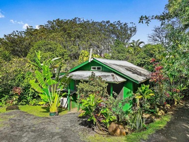 Set across sixteen acres of fully fenced acreage, this Haiku - photo 19