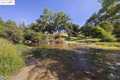 Lake Home For Sale in Jamestown, California