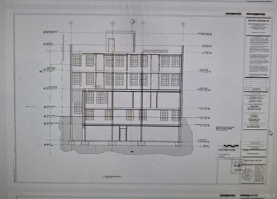 Investors & Developers Dream! Prime Bronx Development - photo 13