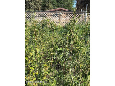 Experience the ultimate Kenai River summer at Poacher's Cove - photo 34