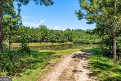 (private lake, pond, creek) Acreage For Sale in Newnan Georgia