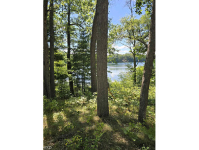 Lake Lot Sale Pending in Bitely, Michigan