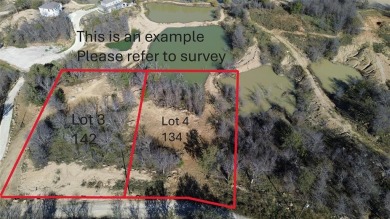 Lake Lot For Sale in Chico, Texas