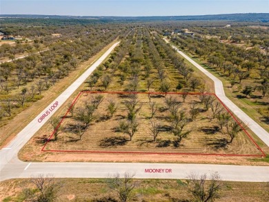 Lake Granbury Lot For Sale in Granbury Texas