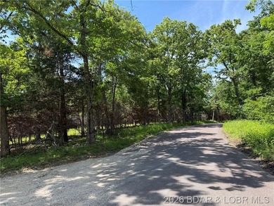 Great Building Sites! Tons of possibilities. 9 Acres of mostly - photo 1