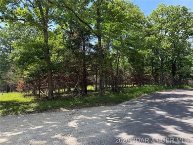 Great Building Sites! Tons of possibilities. 9 Acres of mostly - photo 6