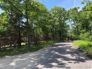 Great Building Sites! Tons of possibilities. 9 Acres of mostly - photo 7