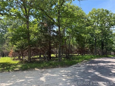 Great Building Sites! Tons of possibilities. 9 Acres of mostly - photo 9