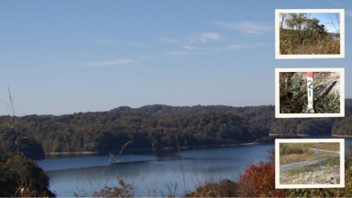 Lake Lot For Sale in Hilham, Tennessee