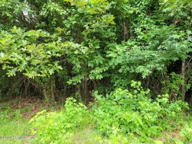  Lot Sale Pending in Hardeeville South Carolina