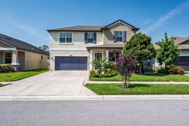 Lake Home Sale Pending in Land O Lakes, Florida