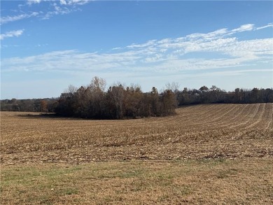 (private lake, pond, creek) Acreage Sale Pending in Faucett Missouri