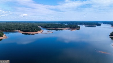 The Lake Life that you deserve! This custom-built home is - photo 27
