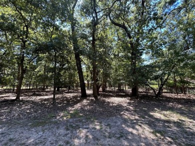 Holly Lake Ranch / Holly Lake Lot For Sale in Hawkins Texas