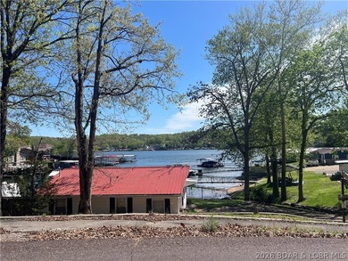 Imagine waking up to lake views every morning - and making them - photo 1