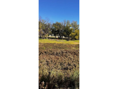 Lake Acreage For Sale in Comanche, Texas