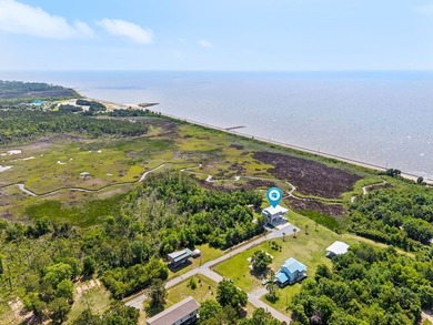 Nearly new 3BR/2.5BA coastal home in Bay St. Louis with stunning - photo 3