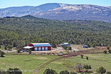 (private lake, pond, creek) Home For Sale in Molina Colorado