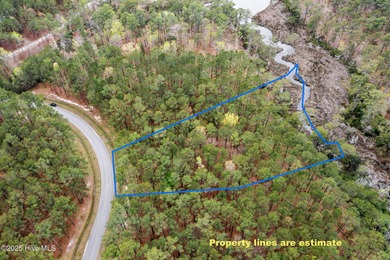 Neuse River Lot For Sale in Oriental North Carolina