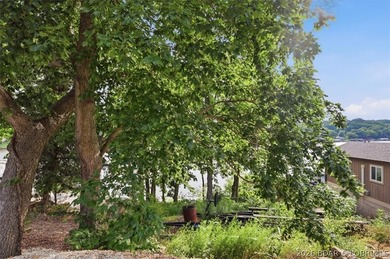 THINK THE VERY GENTLE BUILDABLE LAKE LOTS ALL GONE? NOPE! Own an - photo 9