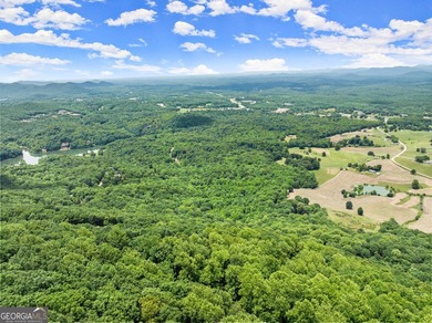 What a view!?!?! Are you looking for the perfect place to build - photo 11