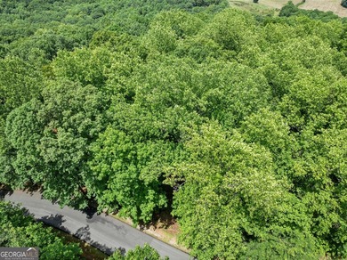 What a view!?!?! Are you looking for the perfect place to build - photo 14