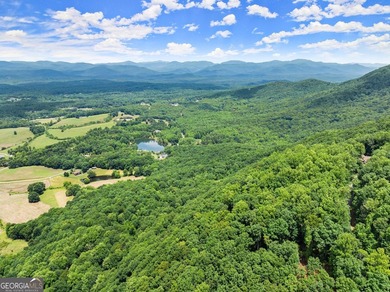 What a view!?!?! Are you looking for the perfect place to build - photo 15