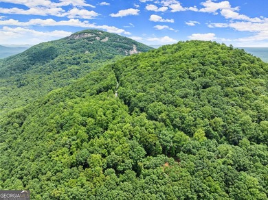 What a view!?!?! Are you looking for the perfect place to build - photo 16