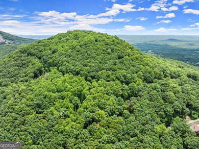 What a view!?!?! Are you looking for the perfect place to build - photo 17