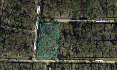 Spacious .82-acre wooded lot located in Waveland, offering - photo 1