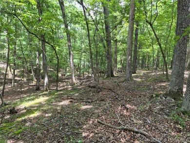 Potential Building Homesite ....with Gentle/Level Topography - photo 3