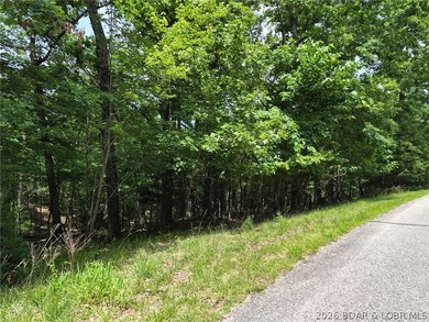 Potential Building Homesite ....with Gentle/Level Topography - photo 6