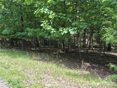 Potential Building Homesite ....with Gentle/Level Topography - photo 9