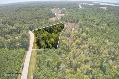 Discover the possibilities with this beautiful 3.48-acre wooded - photo 3