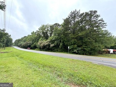 Prime commercial opportunity on Highway 85! This 2-acre parcel - photo 1