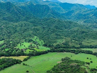 COSTA RICA: 1300+ acres of pristine Jungle/Forest/Valleys in the - photo 4