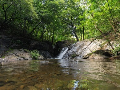 COSTA RICA: 1300+ acres of pristine Jungle/Forest/Valleys in the - photo 5