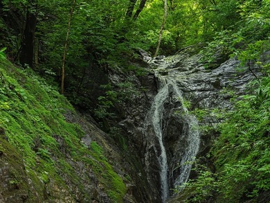 COSTA RICA: 1300+ acres of pristine Jungle/Forest/Valleys in the - photo 7