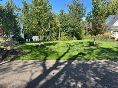 Lake Minnetonka Lot For Sale in Orono Minnesota
