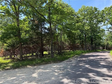 Three 3+/- Acre parcels for sale.  Land is mostly level wooded - photo 5