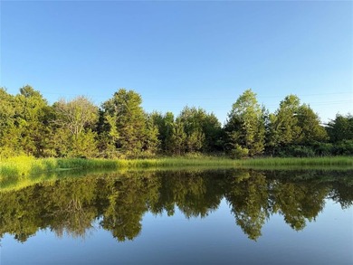 APPROXIMATELY 10 ACRES WITH A POND & PRICED TO SELL! BRING ALL - photo 26