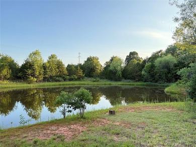 APPROXIMATELY 10 ACRES WITH A POND & PRICED TO SELL! BRING ALL - photo 27
