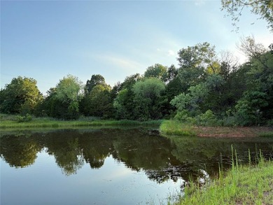 APPROXIMATELY 10 ACRES WITH A POND & PRICED TO SELL! BRING ALL - photo 28
