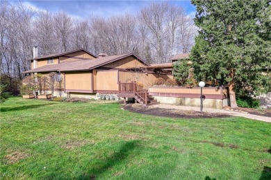 Lake Condo For Sale in Chagrin Falls, Ohio