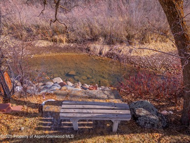 Opportunity to own a piece of Basalt's history with this mixed - photo 5