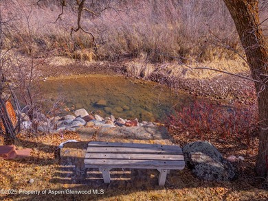 Opportunity to own a piece of Basalt's history with this mixed - photo 6